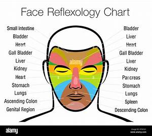 Reflexology Chart Hi Res Stock Photography And Images Alamy