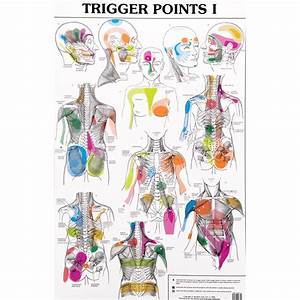 Trigger Points Trigger Points Trigger Point Therapy Acupuncture Charts