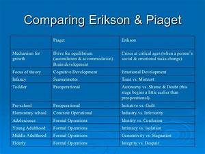 Image Result For Erikson And Piaget Stages Of Development Chart