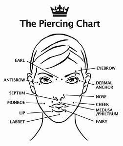 Paris Ink The Facial Piercing Chart Include Eyebrow Cheek Nose