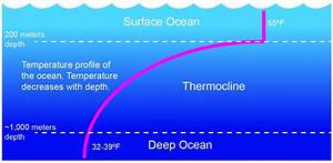 The Graph Below Shows The Temperature Of Ocean Water At Different