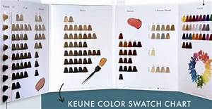Keune Color Swatch Chart Salon Accessories