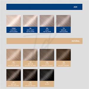 ash hair color chart warehouse of ideas