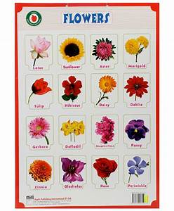 The Gallery For Gt Different Types Of Flowers With Names Chart