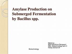 Amylase Production