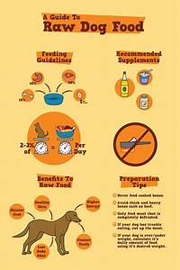 39 Raw Dog Food Guide 39 Poster On Behance
