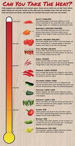 42 Cheat Sheet Infographics To Turn You Into A Star Chef