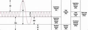 Lung Volumes Wikidoc