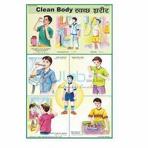 Clean Body Chart Manufacturer And Supplier In India Albania Tirane