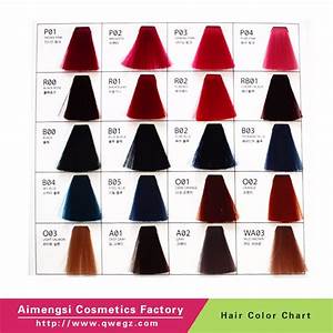 International Salon Hair Color Chart For Professional Permanent Hair