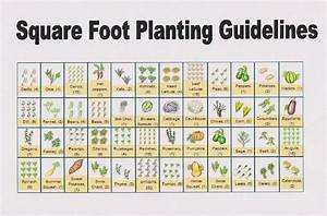 Square Foot Planting Guidelines Gardening Pinterest