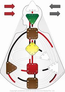 the ultimate guide to your human design chart