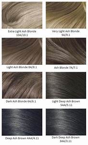 Medium Ash Hair Color Chart Dusti Chamberlin