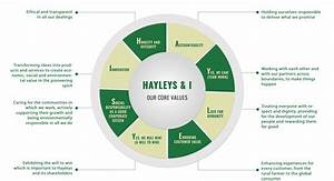 About Hayleys Most Diversified Conglomerate In Sri Lanka