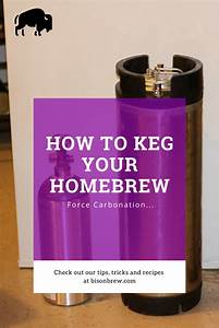 Force Carbonating Your Homebrew Kegs Beerplanet Net