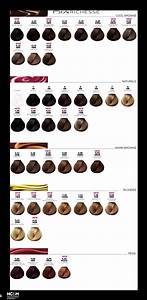 Loreal Professional Hair Color Chart New Product Reviews Special