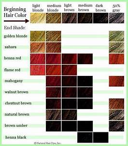 All Your Hair Style Revlon Hair Color Chart
