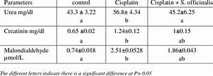 Serum Creatinine And Urea Level In Normal Cisplatin 12 Mg Kg I P