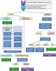 Flow Chart For The Diagnosis Of Food Allergy Download Scientific Diagram