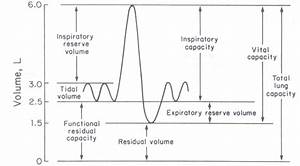 Spirometry Spirogram Pulmonary Volumes And Capacities Factors