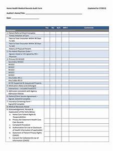2013 2023 Home Health Medical Records Audit Form Fill Online Printable