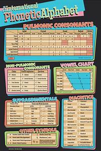 Ipa Chart Poster The Space Store Online Store Powered By Storenvy