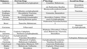 List Of Common Drugs Used In The Cancer Chemotherapy Download Table