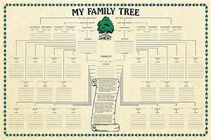Family Tree Chart Genealogy Amazon Co Uk Stationery Office Supplies