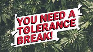 You Need A Cannabis Tolerance Break Youtube
