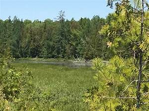Hunting Camp For Sale In Northern Maine