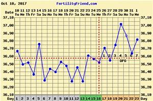 Bbt Chart Babycenter