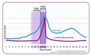 Chance Of Pregnancy By Day Of Cycle Pregnancywalls