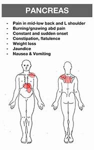 Visceral Referral Jmcafeept Com