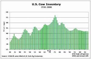 Network Ranch Consulting What Happened To The U S Cattle Cycle