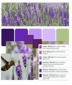 Color Of Lavender And Purple Infographics Color Palette Lavender