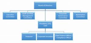 Organizational Chart And Corporate Structure Pal Holdings Inc