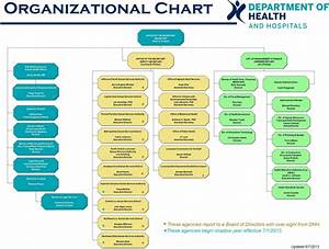 Hospital Organizational Chart Template Free Download Speedy Template