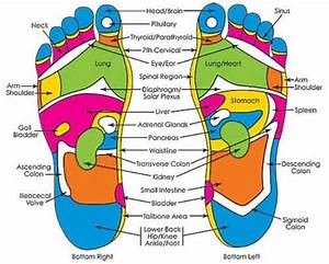 I Believe Foot Reflexology Reflexology Chart Reflexology