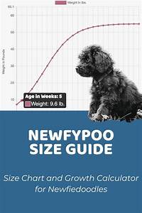 Puppy Growth Chart Poodle Mix Breeds Dog Breeds That Dont Shed Puppy