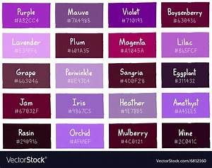Purple Tone Color Shade Background With Code Vector Image Purple Color