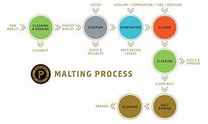 Malting Proximity Malt