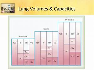 Ppt Pulmonary Function Testing Powerpoint Presentation Free Download