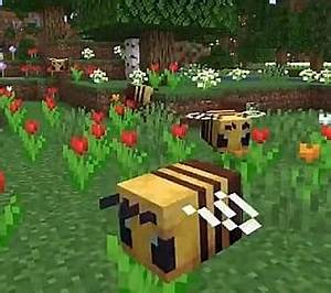 Minecraft Bees Guide How To Craft A Beehive And More Gameskinny