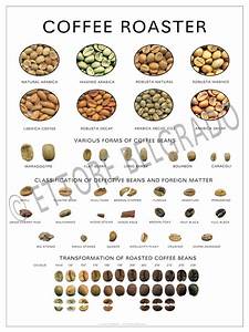 Poster Kunstdruck Coffee Roaster Roasting Defects Beans Barista Ebay