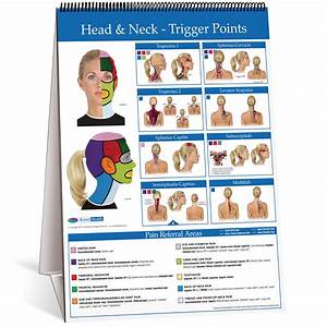 Flip Chart Trigger Point Kent Health Systems