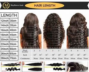 Hair Length Chart Curly Charita Loera