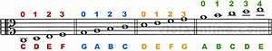 viola online chart