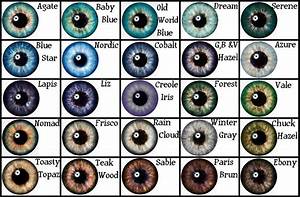 Varying Eye Colours Chart As Used For The Sims Characters