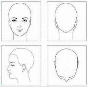 Head Chart Hair Cutting Techniques Face Chart Hair Patterns
