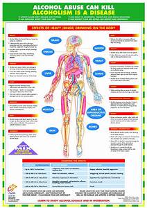 Effects Of Alcohol Abuse Poster Chart Published By Chartex